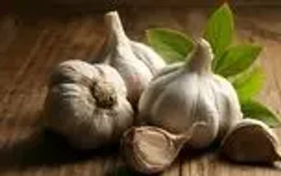 خوردن سیر خام ناشتا باعث لاغری می‌شود؟