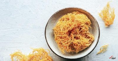 آیا روند سلامتی با جلبک دریایی (Sea Moss) واقعاً ارزشمند است؟ فواید و عوارض آن را بشناسید