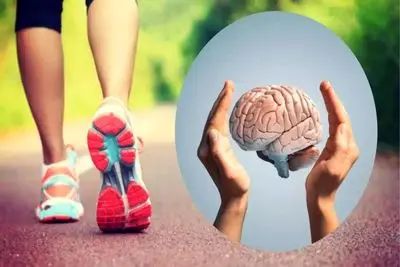 زوال عقل در کمین است؛ اگر…/ داستان یک تحقیق طولانی