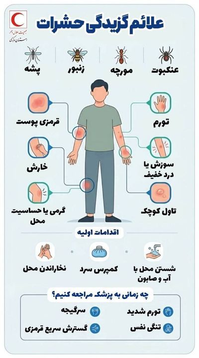 این علائم را در بدن جدی بگیرید؛ درچه شرایطی بعد از گزیدگی باید به پزشک مراجعه کرد؟