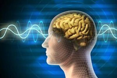 رازهای پیشگیری از سکته از زبان متخصصان مغز و اعصاب