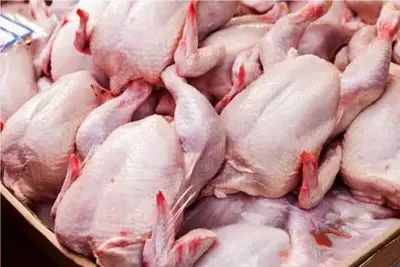 قیمت مرغ امروز شنبه ۱۹ اردیبهشت ۱۴۰۵ + جدول
