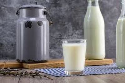 افزایش ۲۹درصدی قیمت شیرخام روی میز سازمان حمایت