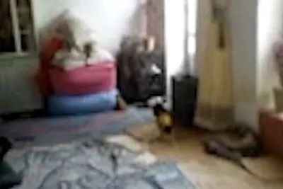 فیلم واقعی از  «آدم کوتوله‌های ۵ سانتی‌متری» در ایران / اینجا منطقه قیل منصور اسلام آباد غرب است