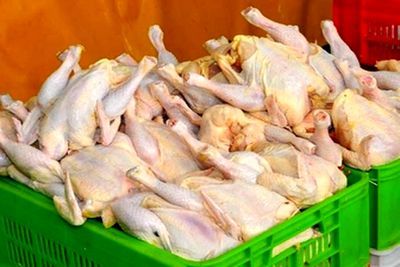 قیمت مرغ امروز یکشنبه ۱۰ خرداد ۱۴۰۵