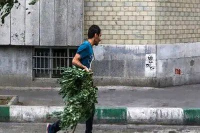 هشدار به تهرانی ها؛ طوفان در راه است
