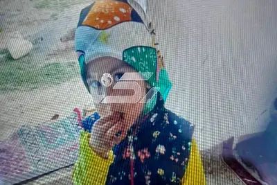 ۷۲ ساعت بی‌خبری از سلنا کوچولو / دختر ۳ ساله اردبیلی کجاست؟ / جست‌وجوی ۳۰ کیلومتری بی‌نتیجه ماند؛ معمای ناپدید شدن سلنا پیچیده‌تر شد + صوت