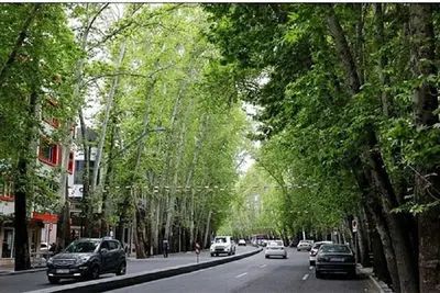 عکس تاریخی از ولیعصر؛ قبل از آنکه آسفالت شود