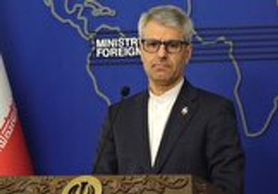 سخنگوی وزارت خارجه: حمله پلیس هلند به زن باردار مرد فلسطینی، نقض حقوق بشر است