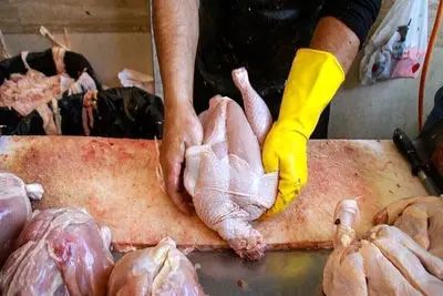 قیمت مرغ ارزان می شود؟