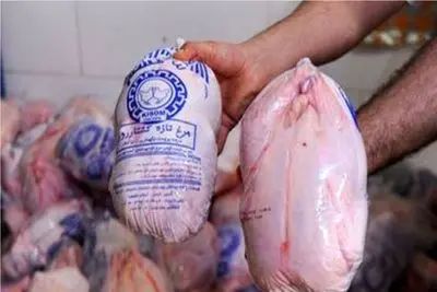 قیمت مرغ امروز چهارشنبه 13 خرداد 1405 + جدول