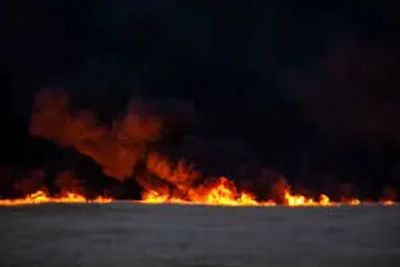 صهیونیست‌ها زمین‌های کشاورزی فلسطینیان در جنوب نابلس را به آتش کشیدند