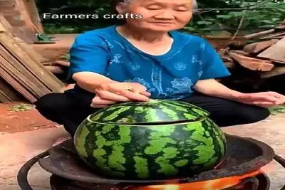 آشپزی گربه شور؛ زنه هندونه رو قابلمه کرد اردک انداخت توش بپزه معده ام پیچید