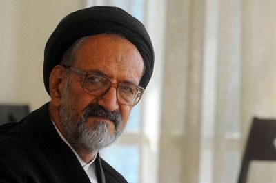 ببینید | مرحوم سید محمود دعایی: امام به مبارزه مسلحانه اعتقاد نداشت
