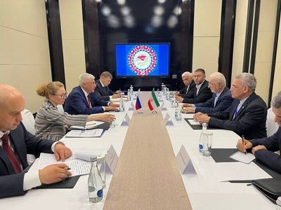 دیدار وزیر کشور ایران و وزیر امور داخلی فدراسیون روسیه/ انتقاد طرف روس از استانداردهای دوگانه غرب در قبال تهران و مسکو