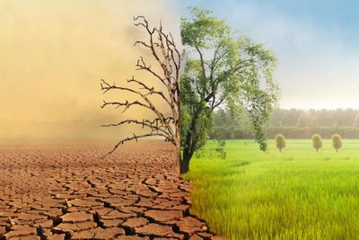 طرح پدر علم هواشناسی برای عبور از کم‌آبی | طرح انتقال برف در تابستان چیست؟