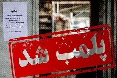 تشکیل پرونده برای ۲۴ واحد صنفی در این شهر/ یک واحد صنفی پلمپ شد