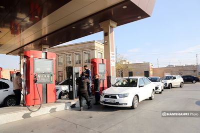 استاد دانشگاه تهران: افزایش قیمت منجر به کاهش مصرف نمی‌شود