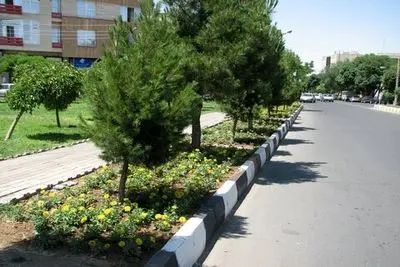 اقدام خلاقانه شهرداری برای حفاظت از گل‌ها در شهر