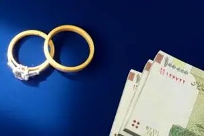 حاجی‌دلیگانی: افزایش وام ازدواج در گروی اصلاح لایحه دولت است