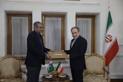 دیدار و رایزنی وزیر کشور پاکستان با عراقچی