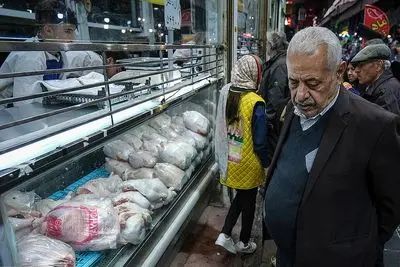 مرغ گران می‌شود