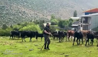 ویدیوی قهرمان سنگین وزن کشتی ایران از زندگی در روستا و فعالیت‌هایش!