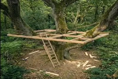 معماری خلاقانه؛ خونه درختی ساخت بالای درخت از برج های امروزی شیک تر و اعیونی تر