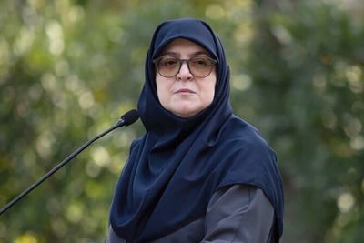 سخنگوی دولت: ایران و لبنان نه نیروهای نیابتی یکدیگر هستند، نه برای هم می‌جنگند، بلکه دشمنی مشترک دارند/ تیم دیپلماسی ما متشکل از افرادی است که به شدت به میدان آگاهی دارند