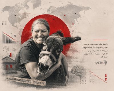 راستی‌آزمایی ادعای عجیب یک پست اینستاگرامی؛ الاغ‌درمانی واقعیت دارد؟/ «حیوان‌درمانی» زیر ذره‌بین علم